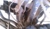 IMAG0628.jpg