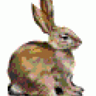 gary rabbitt