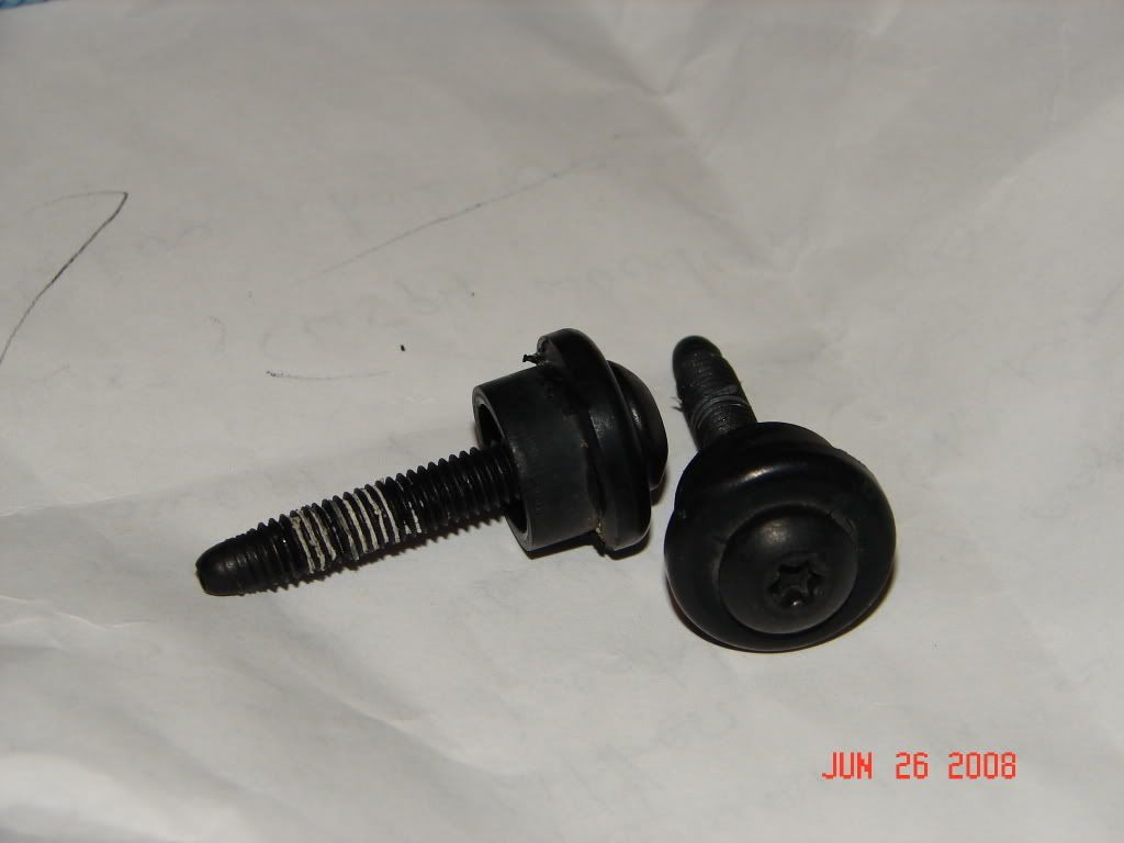 DSC06681.jpg